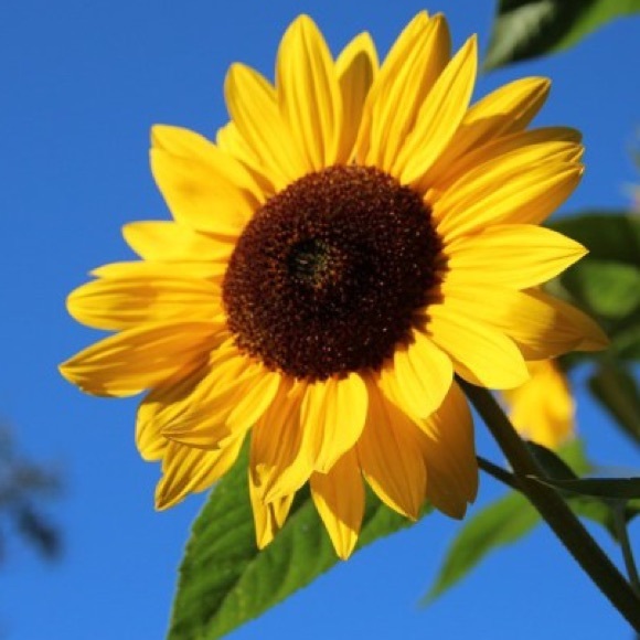 Meet your Posher, Dinh - Picture 1 of 1